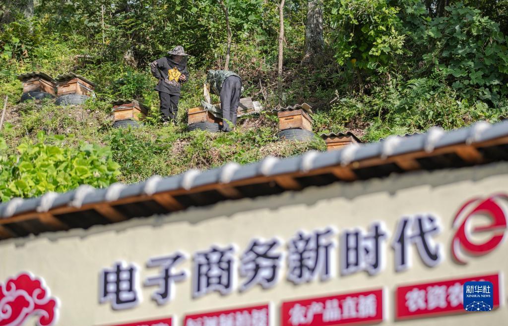 mg游戏网站登录
